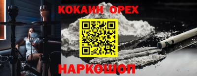 сатива Краснознаменск