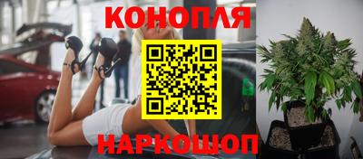 МДПВ Краснодар