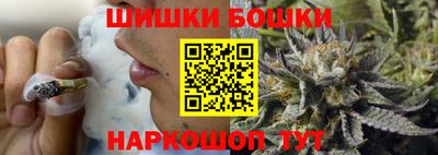 сатива Краснознаменск
