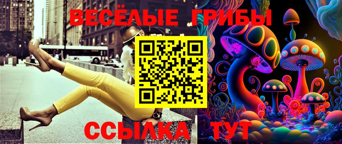 Киров  где найти наркотики  Вход с VPN  Псилоцибиновые грибы Psilocybine cubensis 